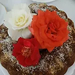 Olive Panzió Berat