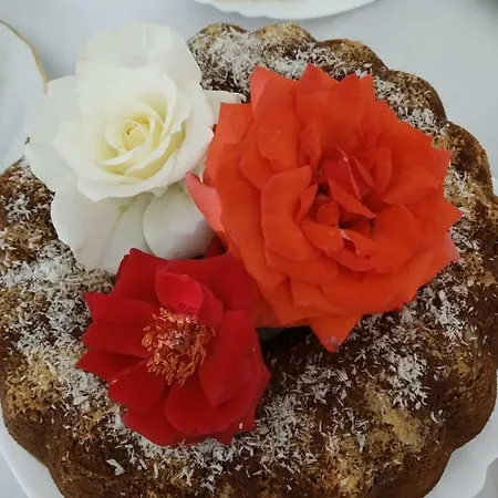 Olive Frühstückspension Berat