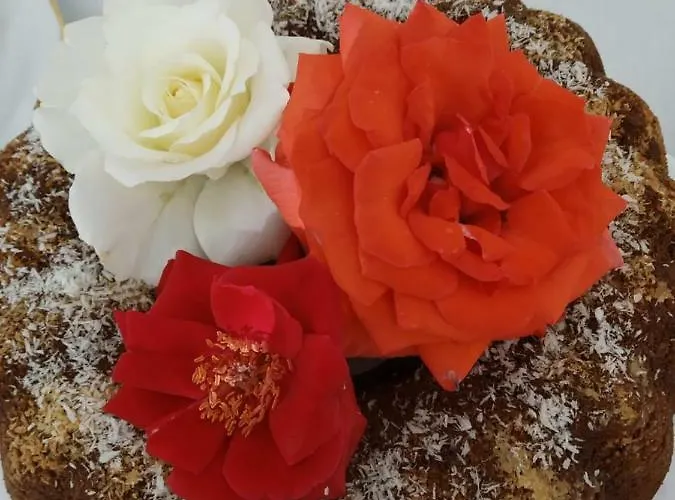 Olive Отель типа 