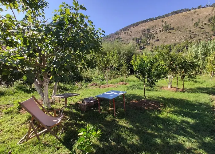 Bed & Breakfast Olive 3*