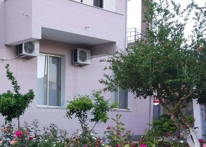 Couette-café Olive Berat